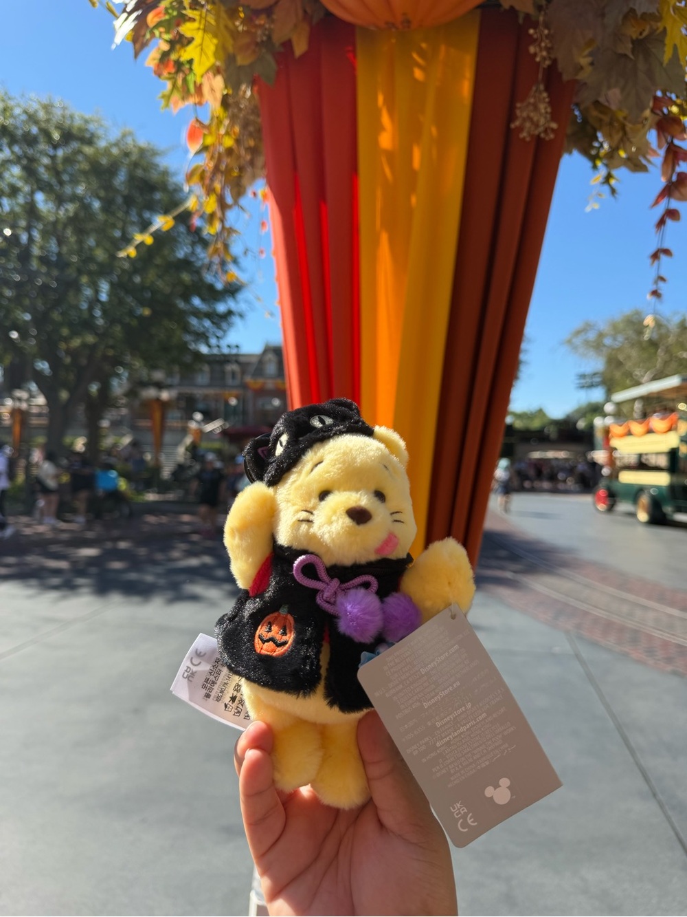 Disney Pooh Plush in Black Cat Halloween Outfit keychain